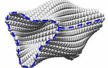 Structural Dynamics and Mechanics of Nanomaterials