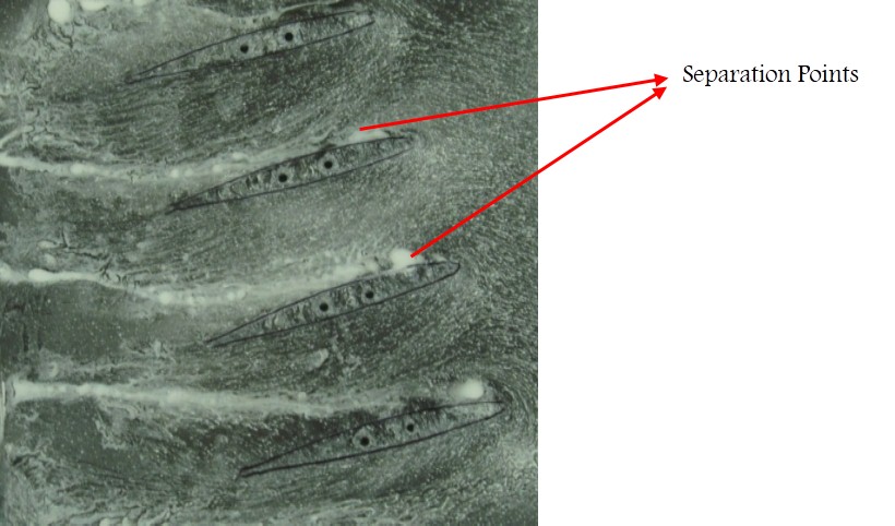 Linear cascade oil flow visualization 2