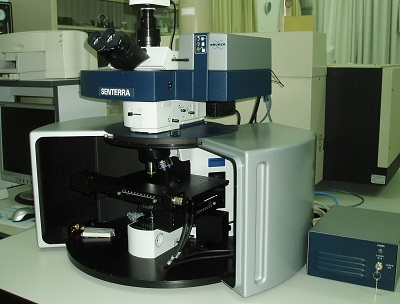 Raman Spectrocope