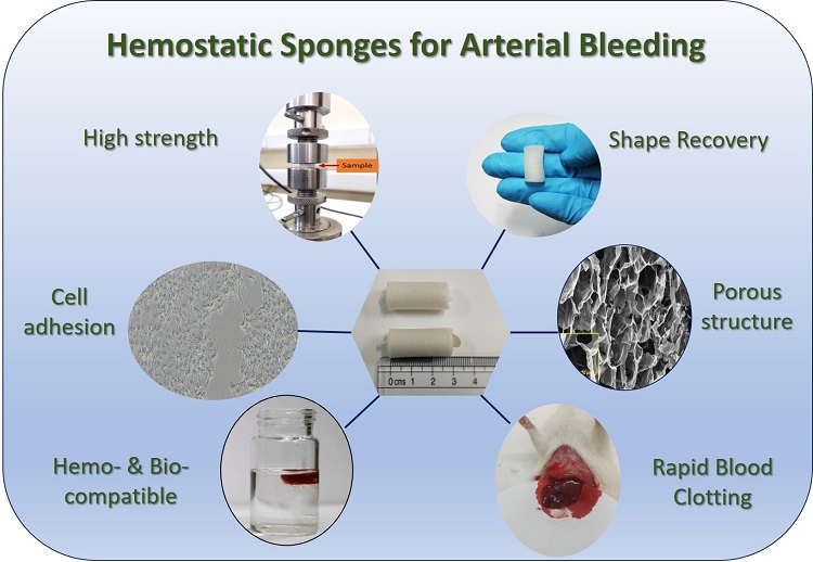 IIT-K develops sponge to accelerate clotting
