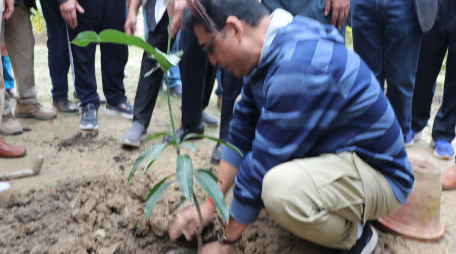 Class of 1981 Reunion Celebration