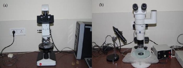 (a)Petrological Microscope   (b)Stereozoom Microscope