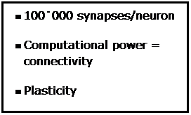 Text Box: n  100˙000 synapses/neuron
n  Computational power = connectivity
n  Plasticity 
n  new connections
n  strength of connections modified 
