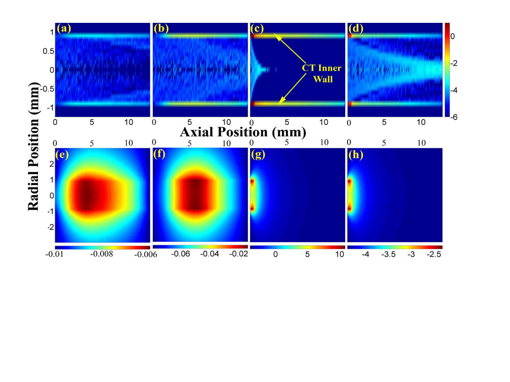 Digital image of ion beam transmission through a micro-glass-capillary