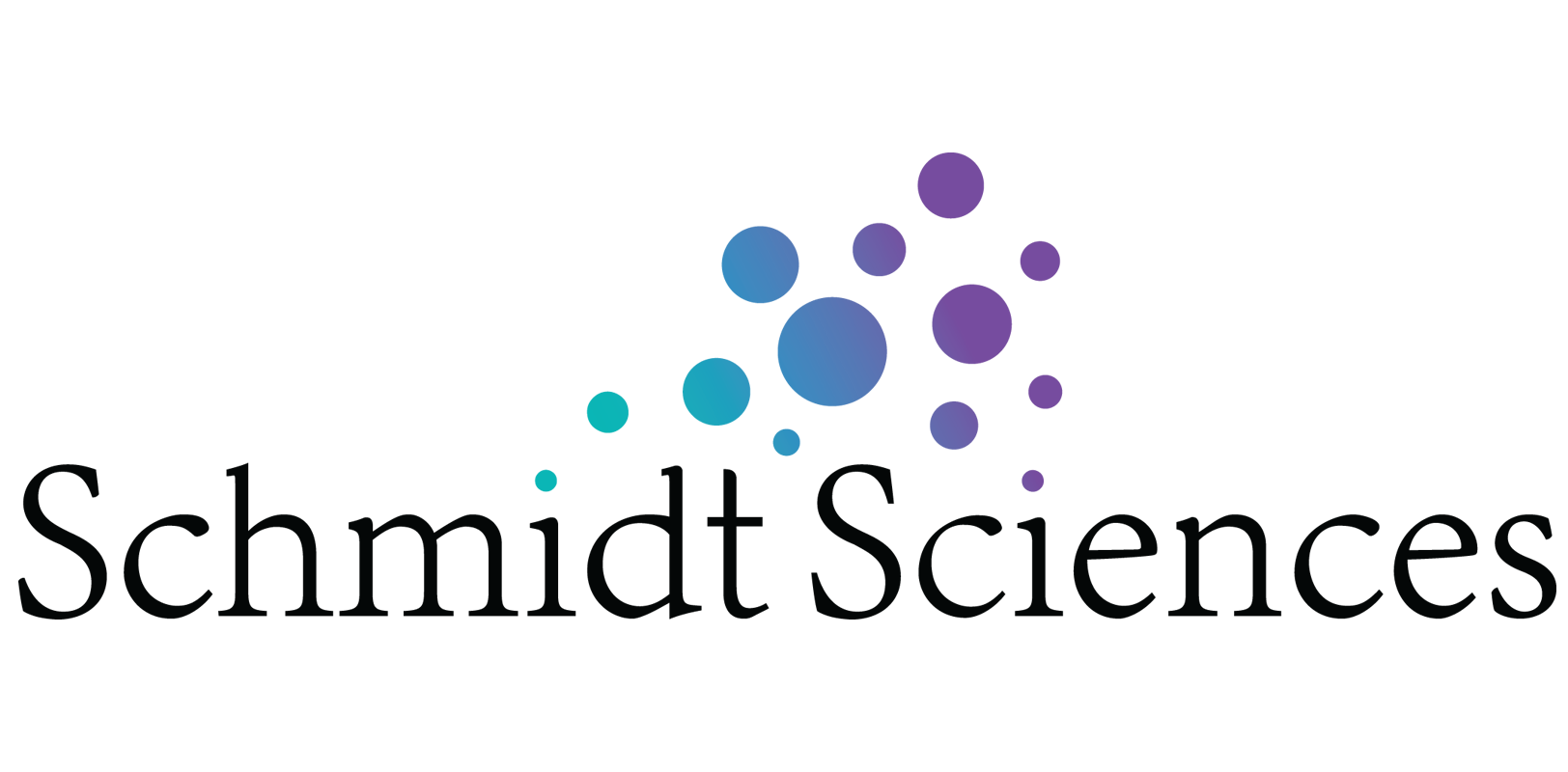 Schmidt Sciences