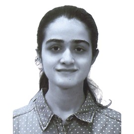 Shambhavi Sabharwal | SMSS Laboratory | IIT Kanpur